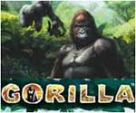 slot vlt gorilla