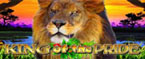 vlt online king of the pride