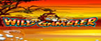 slot machine wild gambler